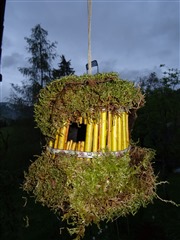 Vogelhäuschen mit Weiden und Moos