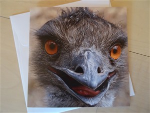 Faltkarte Emu