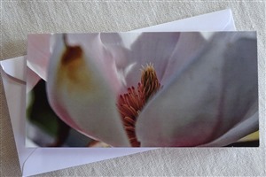 Faltkarte Magnolia